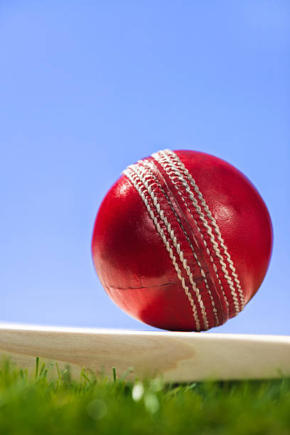 istock Red Cricket ball and bat sitting in grass sitting 518739326