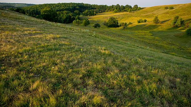 istock landscape in the hills and deciduous forest 518739886