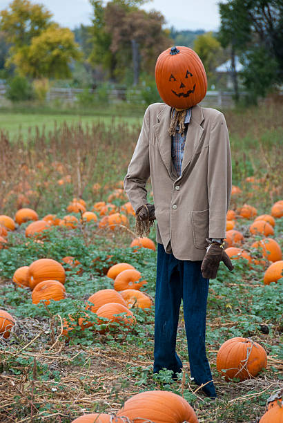 istock Mr. Pumpkin Head Scarecrow in the Pumpkin Patch 518751931