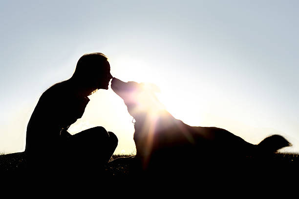 glückliche frau und hund draußen silhouette - tierische hand stock-fotos und bilder