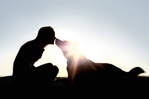 幸せな女性のシルエットと犬 - christin ストックフォトと画像