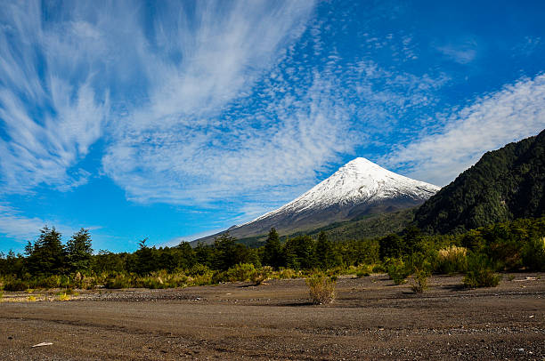 vulcano osorno vista dal lago todos los santos, cile - chilean culture chile forest the americas foto e immagini stock