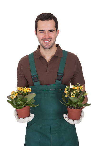 istock Happy young gardener holding flowers 518754195
