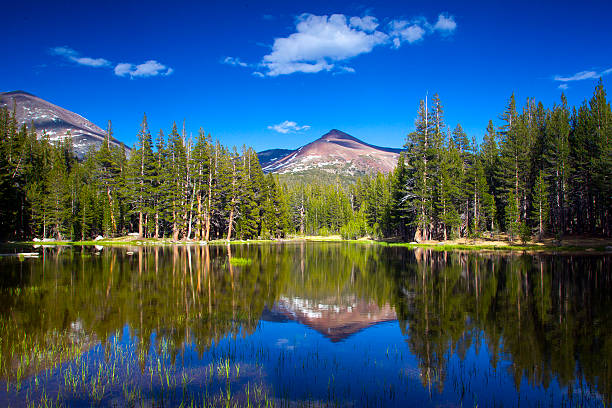 reflektionen auf den see im yosemite national park, usa - see mirror lake stock-fotos und bilder