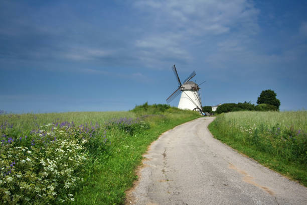 istock Holland mill in Estonia 518755667