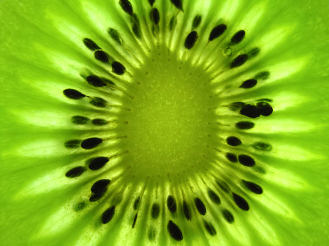 Kiwi fruit slice backlit close-up.