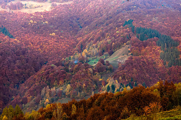 istock Beautiful Carpathian mountains in autumn 518756994