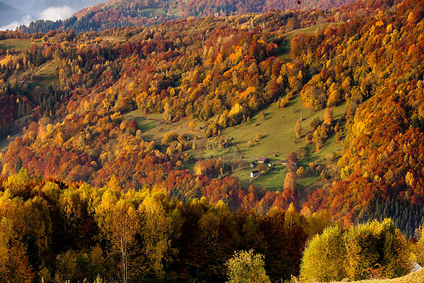 istock Beautiful Carpathian mountains in autumn 518757078