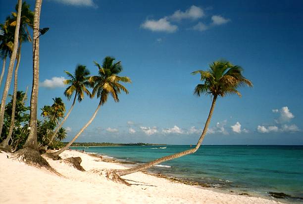 istock Bayahibe beach, dominican Republic 518757279