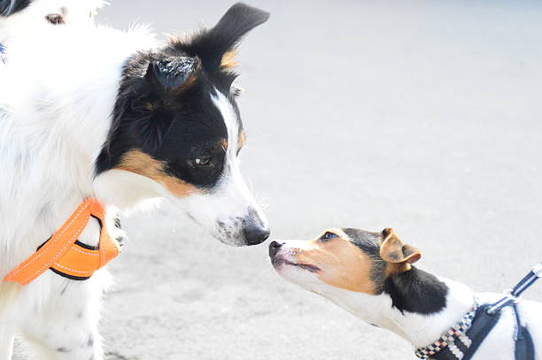 istock new friends 002 518760658