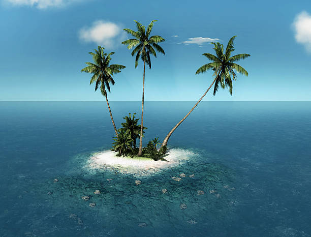 istock tropical island palm trees 3D illustration 518763878