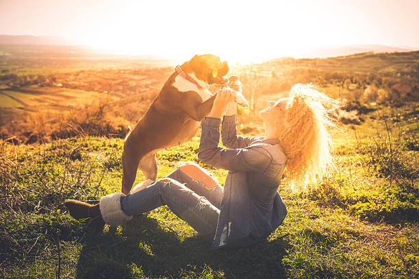 istock Enjoying the sunny day 518776222