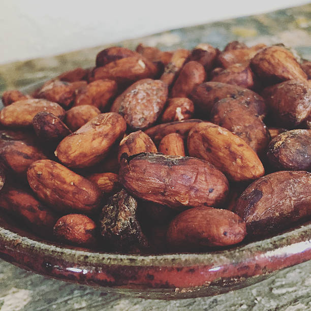 istock Lightly Roasted Cacao Beans with Husks 518778148