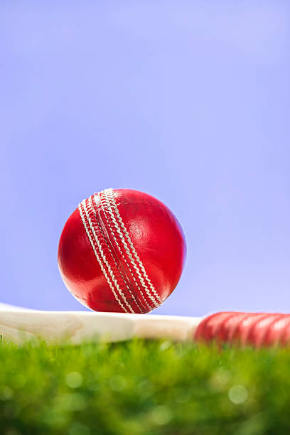 istock Red Cricket ball and bat sitting in grass sitting 518779956