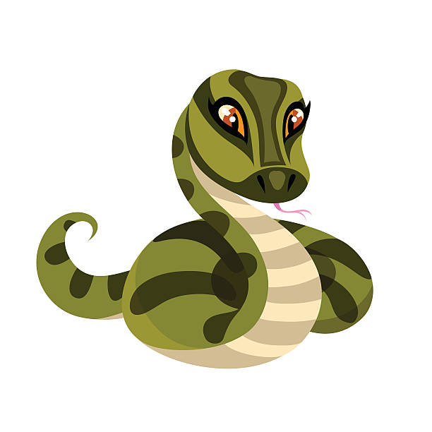 Snake Isolated On White Background Stock Illustration - Download Image Now  - Anaconda - Snake, Animal, Animals In The Wild - iStock