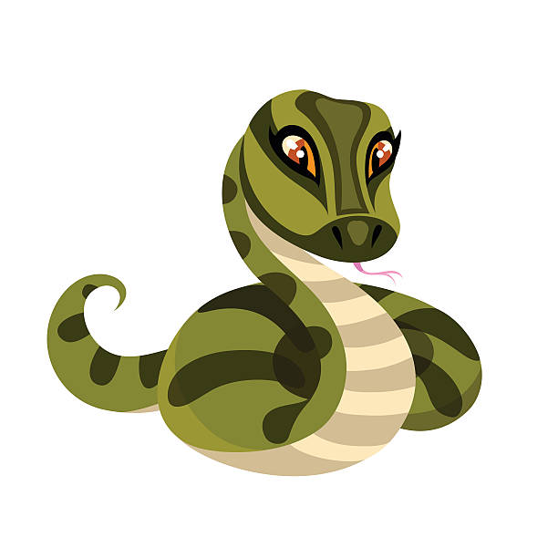 Snake Isolated On White Background Stock Illustration - Download Image Now - Anaconda - Snake, Animal, Animals In The Wild - iStock Snake Isolated On White Background Stock Illustration - Download Image Now - Anaconda - Snake, Animal, Animals In The Wild - iStock
