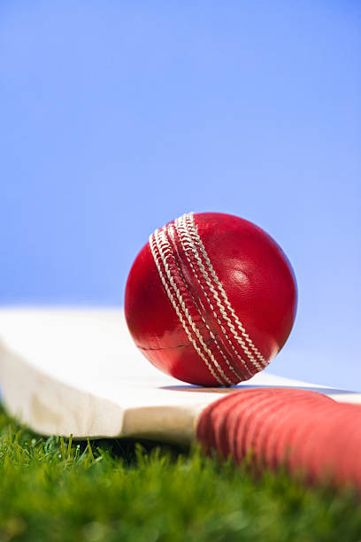красный шар для крикета и летучая мышь сидя в траве гостиная - cricket bat стоковые фото и изображения