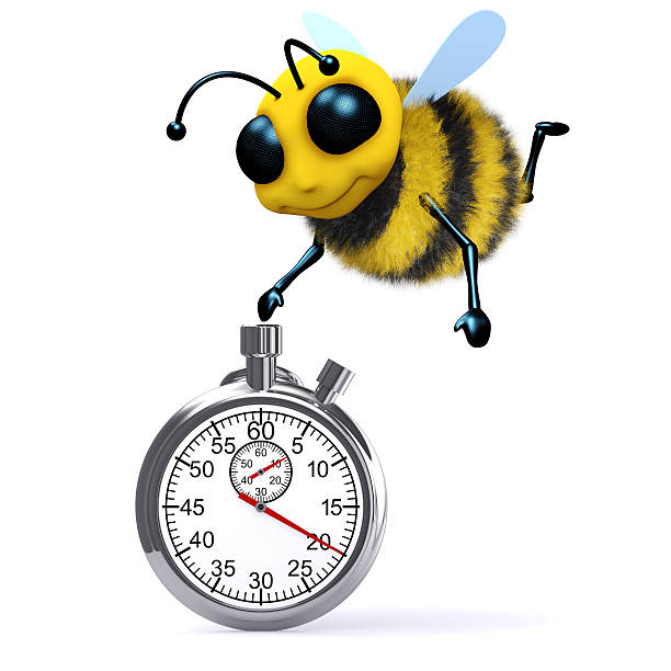 istock 3d Honey bee with a stopwatch 518781389