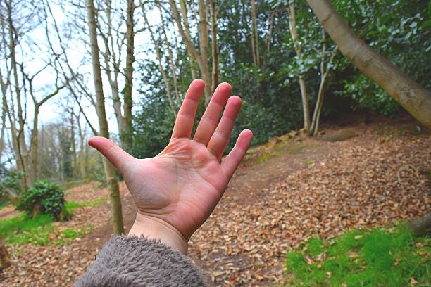 istock front palm of a female hand 518781412
