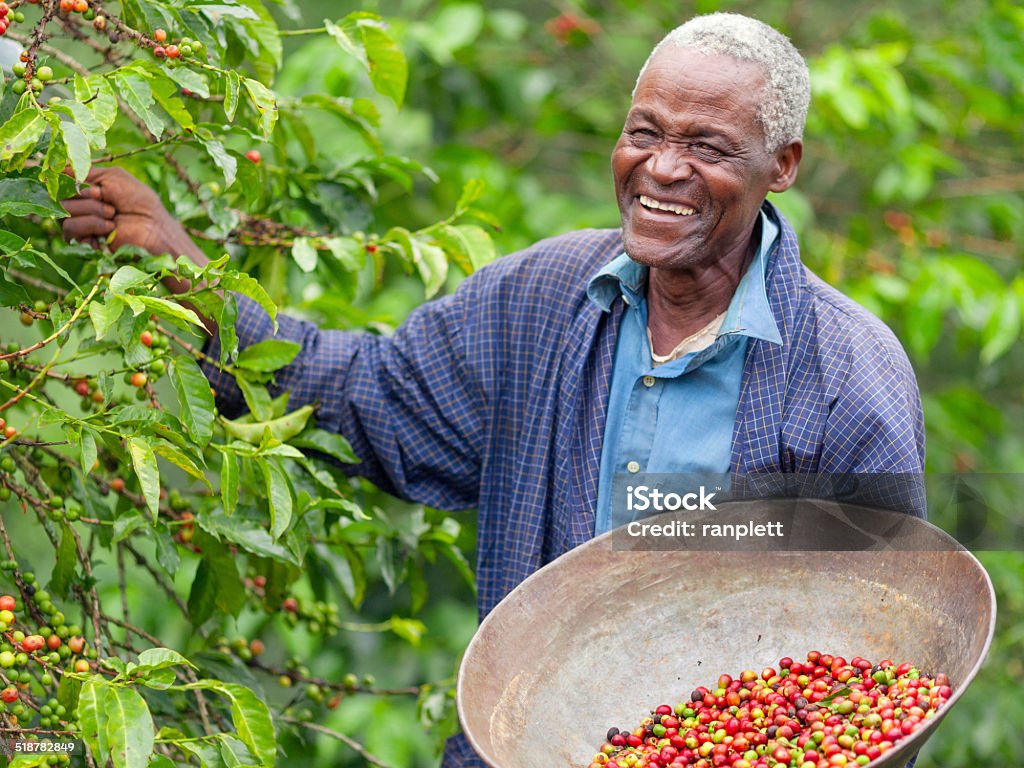 Kenyan Fair Trade Coffee Farmer http://i152.photobucket.com/albums/s173/ranplett/africa.jpg Farmer Stock Photo