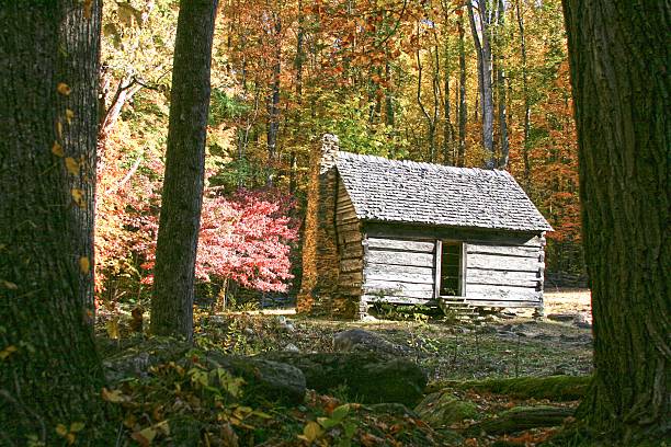 istock Cabin in the Quiet Woods 518783036