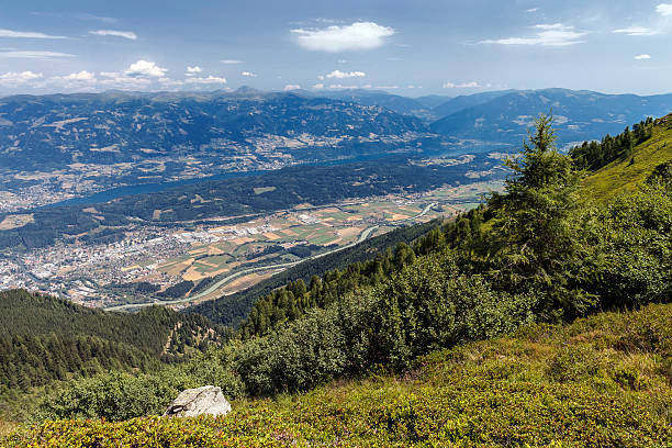 am goldeck rast - bergwiese foto e immagini stock