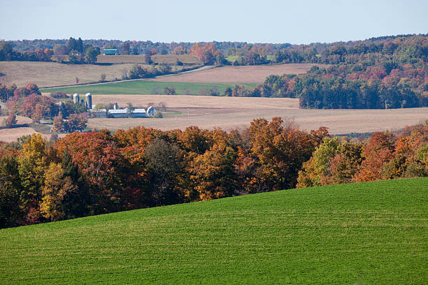 istock Bucolic Scene, Landscape with Farmstead 518796621