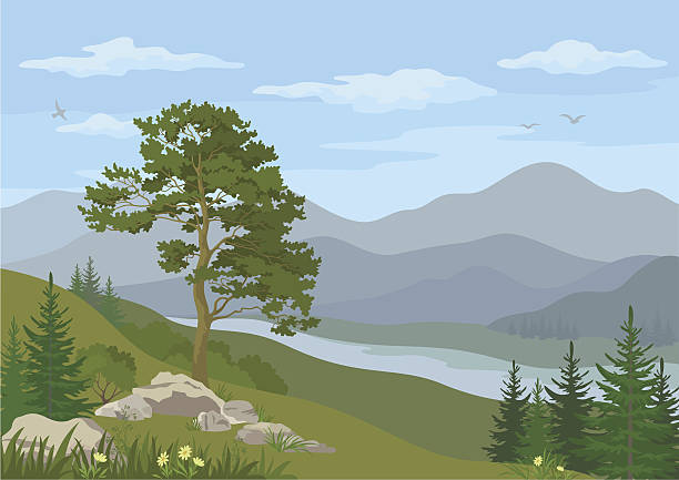 górski krajobraz z drzewa - bush bird tree wood stock illustrations