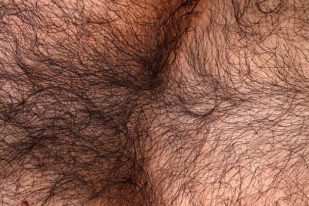 Close up of a hairy skin
