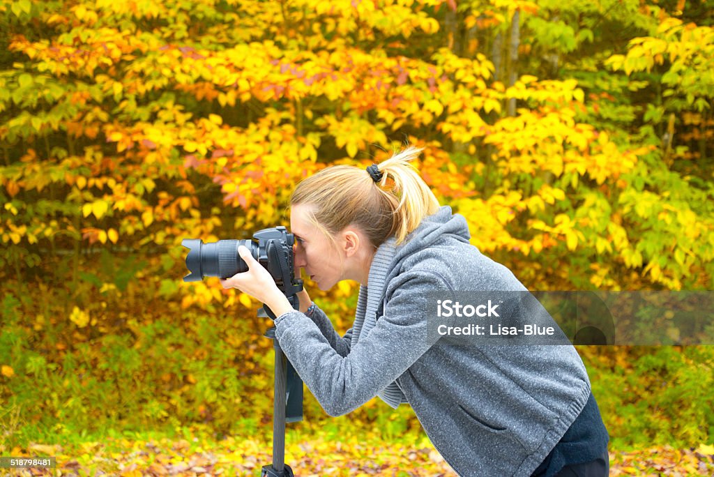 Woman Filming Foliage Blonde woman filming foliage in Vermont Adult Stock Photo