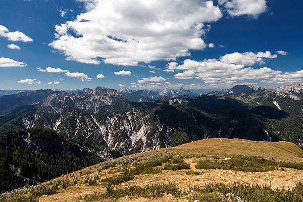 blick über die karnischen alpen - bergwiese foto e immagini stock