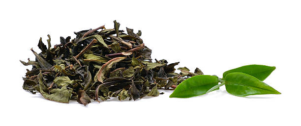 istock Green tea leaf isolated on white background 518799946
