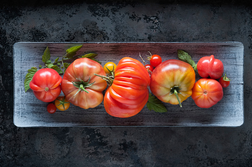 Freshly picked organically home grown heirloom tomatoes and leaves in wood serving tray
