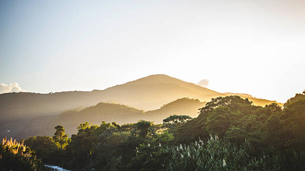 atardecer caribeño. - tropical rainforest jamaica tropical climate rainforest fotografías e imágenes de stock