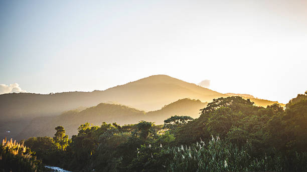 caraíbas pôr do sol. - tropical rainforest jamaica tropical climate rainforest imagens e fotografias de stock