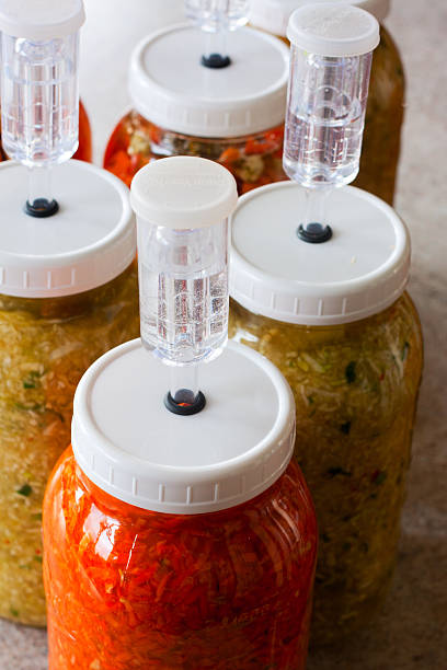 fermentar verduras - airlock fotografías e imágenes de stock