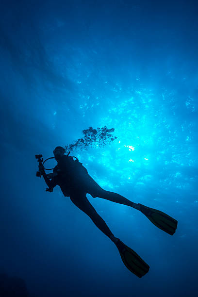 istock Female Diver - Palau, Micronesia 518801334