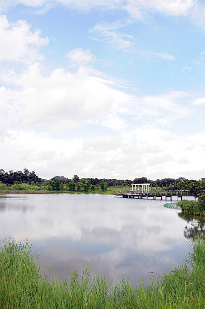 istock Hong Kong Wetland Park 518802114