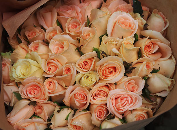 istock pink roses bouquet 518802153