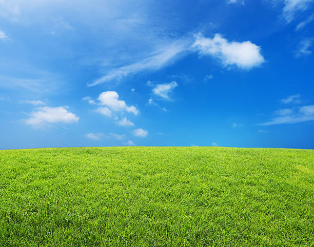 istock Green field and blue sky background 518802554