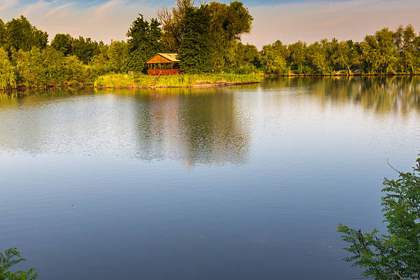 istock Nature of Ukraine. June 2014 518803459