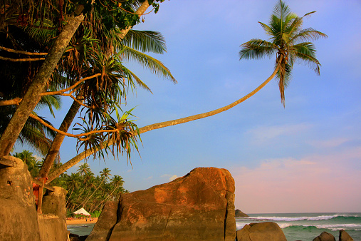 Palm trees with detailed fronds are prominently featured, leaning towards a sandy beach with gentle waves lapping on the shore under a clear blue sky with soft clouds. The beach is wide and stretches out into the distance, with the waves creating a soothing sound as they break on the shore. The sky is a beautiful shade of blue, with soft white clouds scattered across it. The sun is shining brightly, casting a warm glow over the scene. In the distance, there is an indistinct horizon where water meets sky.