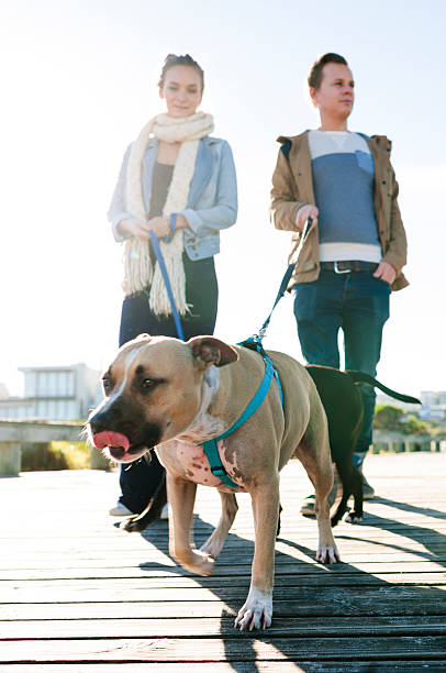 istock Can't Wait To Get Onto The Beach 518803651
