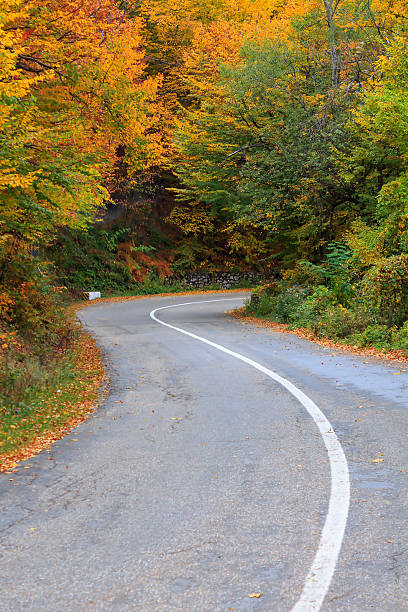 istock Autumn road in Transylvania 518803771