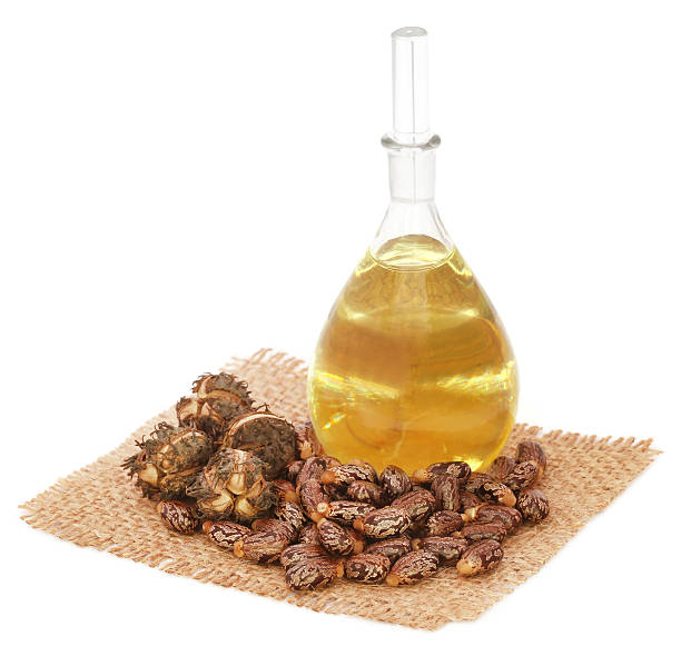 Castor oil with beans Castor oil with beans on sack over white background castor oil stock pictures, royalty-free photos & images