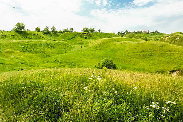 istock Green hills in June 518812687