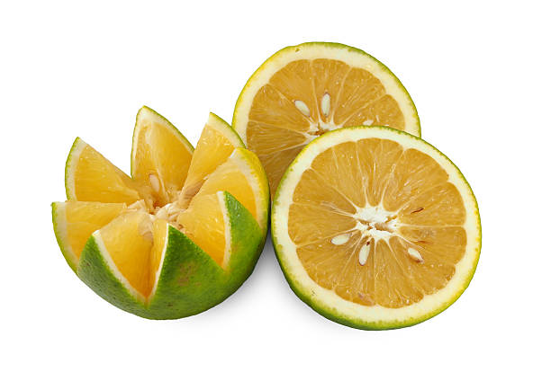 istock kind of orange on white 518814693