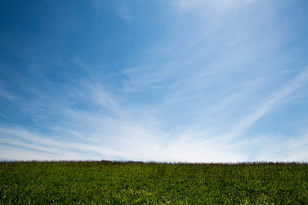 istock Green Field sky  Level - Stock Image 518815539