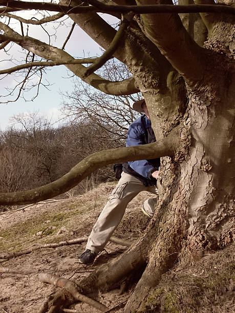 istock man behind a tree in the dune area in Holland 518816305