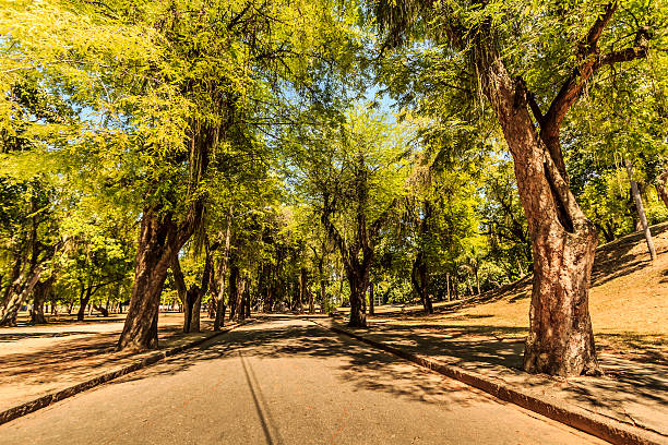 A DSRL picture of a park in Rio de Janeiro, Brazil called \